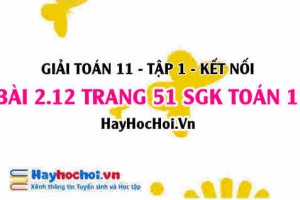 Giải bài 2.12 trang 51 Toán 11 tập 1 SGK Kết nối tri thức